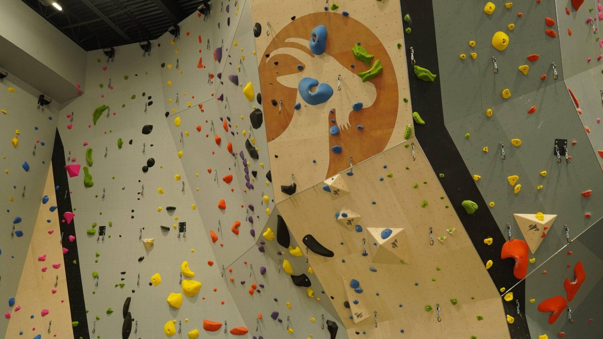 24 Indoor Rock Climbing NJ Gyms To Explore in 2023